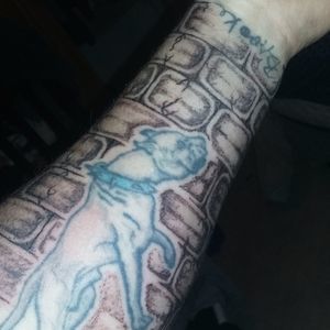 Meet your Posher, Charles